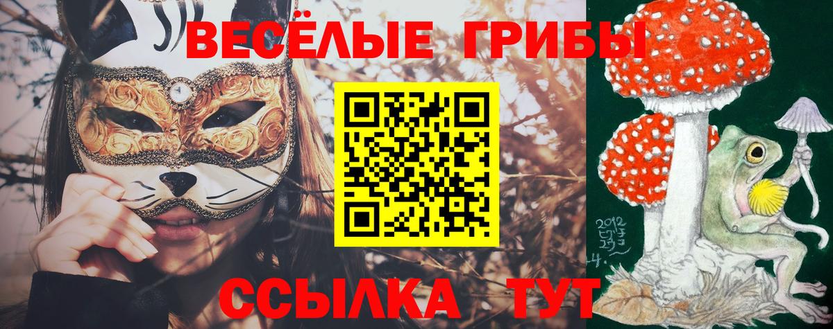 Псилоцибиновые грибы мицелий Тельмана