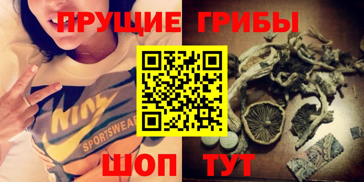 Псилоцибиновые грибы мухоморы  Вход с VPN  Псилоцибиновые грибы прущие грибы  Тельмана 